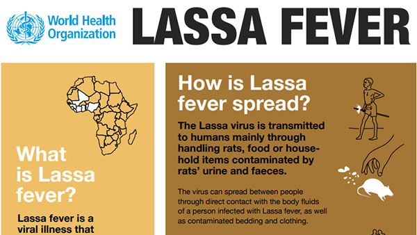 lassavirus