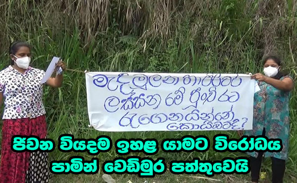 ජිවන වියදම ඉහළ යාමට විරෝධය පාමින් වෙඩිමුර පත්තුවෙයි