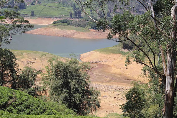 කාසල්රි හා මාඋස්සාකැලේ ජලාශවල ජල මට්ටම් දැඩි ලෙස පහළට