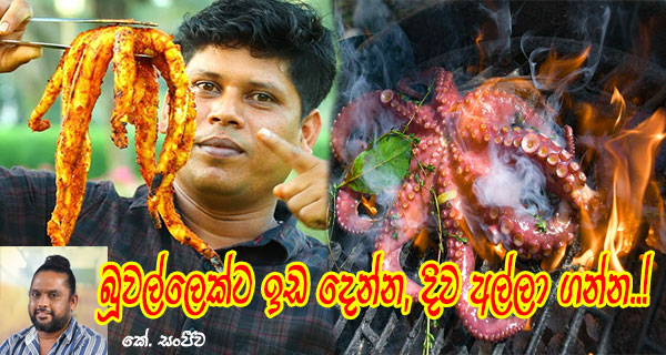 බූවල්ලෙක්ට ඉඩ දෙන්න, දිව අල්ලා ගන්න..!