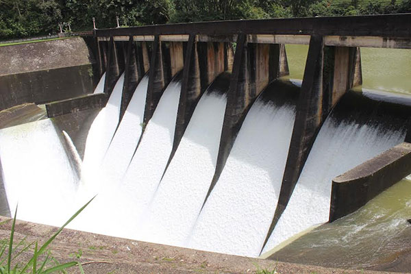 vimalasurenda