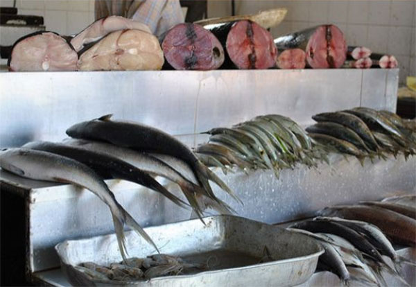 fish