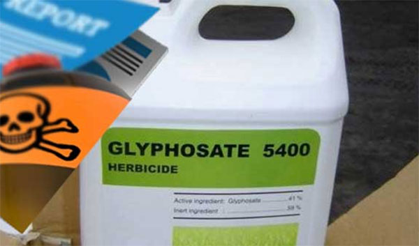 glyport
