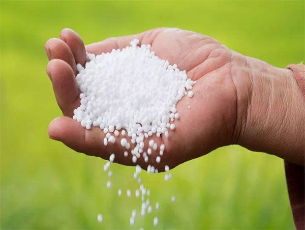 urea