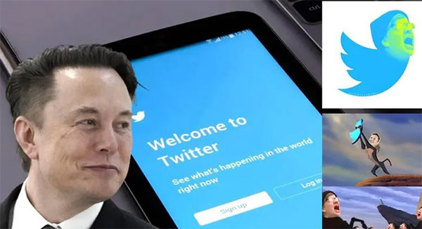 twitter