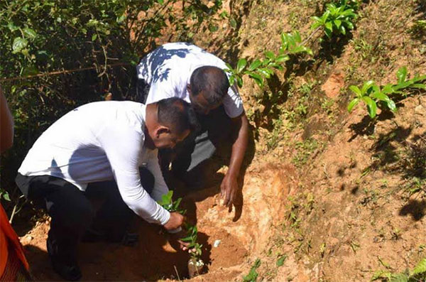 නුවරඑළිය මහනුවර මාර්ගය දෙපස පලතුරු පැල සිටුවිමේ ව්‍යාපෘතියක්