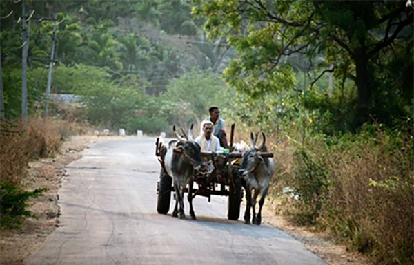 දොස්තර අප්පුගේ අරුම පුදුම බෙහෙත් වට්ටෝරුව මෙන්න!