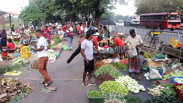 පිටකොටුවේ කැලෑ පොළ..!