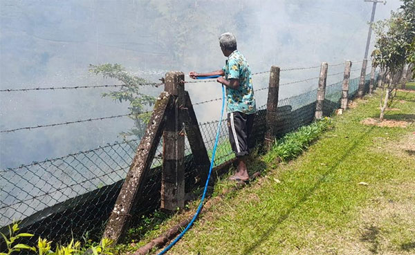 කාසල්රි ජලාශය අසල ලදු කැලැවේ කොටසක් විනාශයට