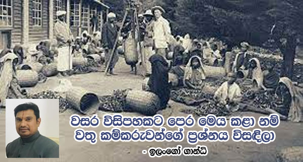 වසර විසිපහකට පෙර මෙය කළා නම් වතු කම්කරුවන්ගේ ප්‍රශ්නය විසඳිලා – ඉලංගෝ ගාන්ධි