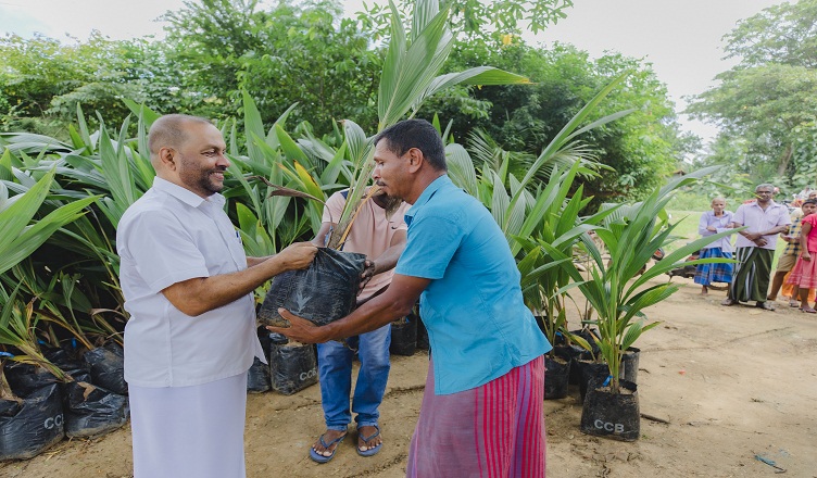 නව පොල් ත්‍රිකෝණයක්