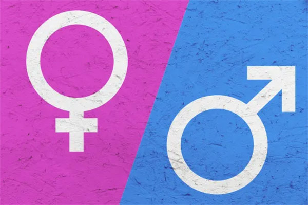 ලිංගික අධ්යාපනයට නව විෂය නිර්දේශයක්