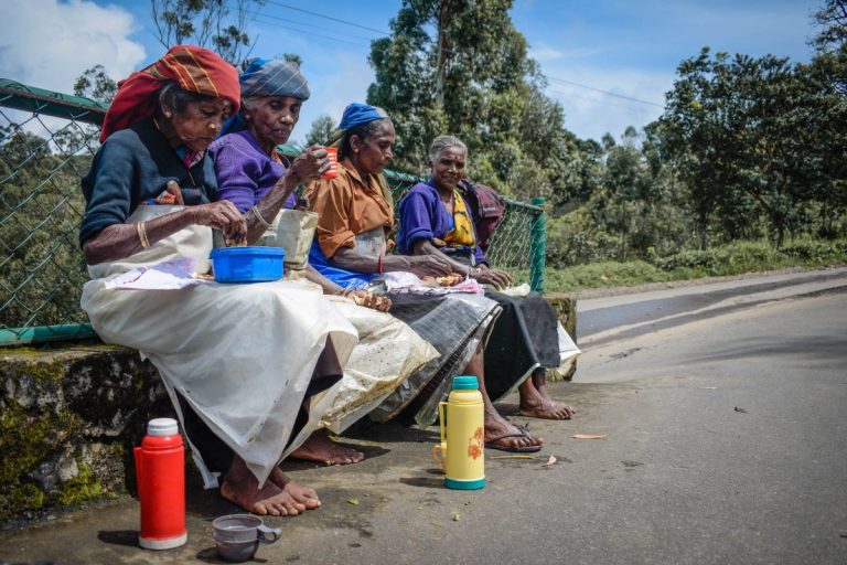 New Sri Lankan Law to Hold Plantation Companies Responsible for Workers’ Conditions