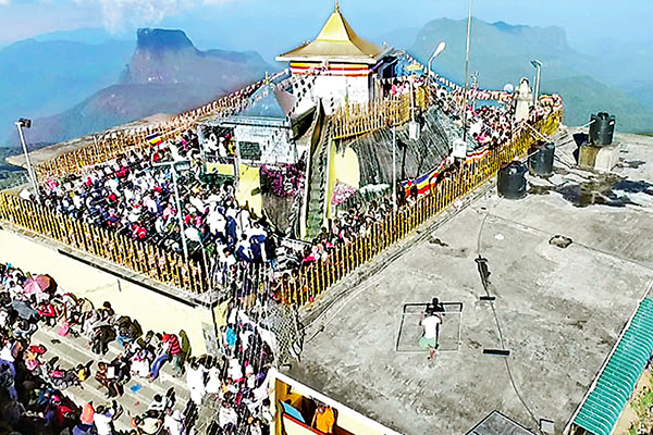 මත් ද්රව්ය රැගෙන ශ්රිපාදය වන්දනා කිරිම සදහා පැමිනි පුද්ගලයන් පනස් දෙනකුට අත් අඩංගුවට