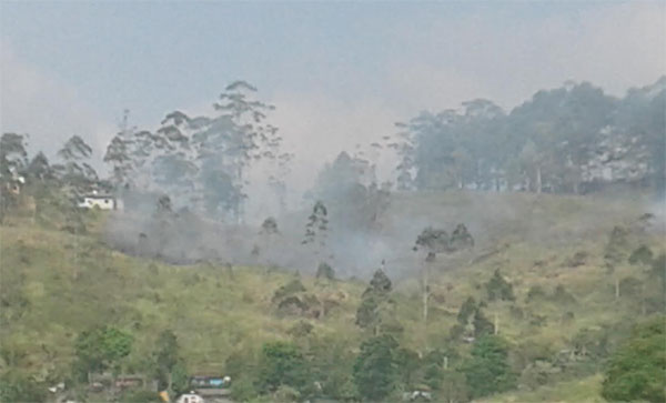 සතුන් දඩයම් කිරිමේ අරමුණ මත කැලැ ගිනි තැබිම් ඉහළට – බගවන්තලාව ලදු කැලැවකත් ගින්නක්