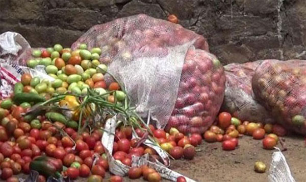 තක්කාලි ගොවීහු අසරණ වෙති