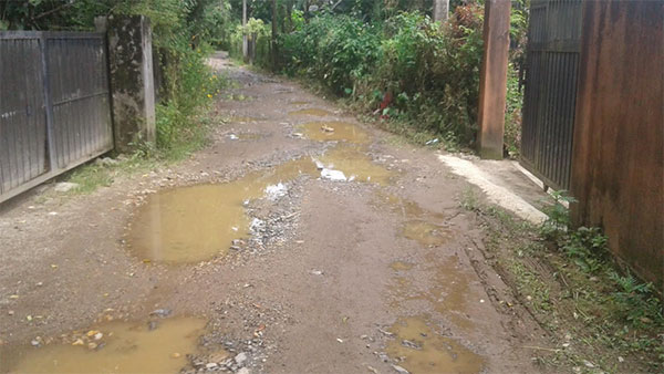 අඹගමුව රේස්පිටිය මාර්ගය තැන තැන අබලන් තත්වයට