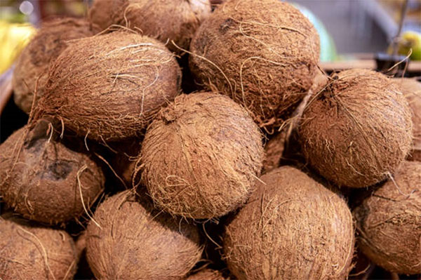 coconut
