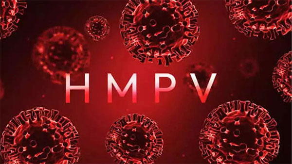 Human metapneumovirus