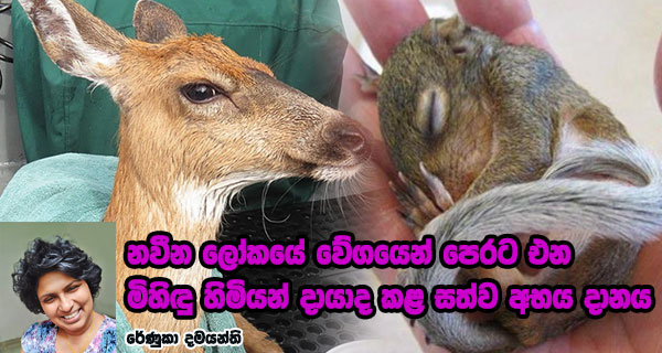 මිහිඳු හිමියන් දායාද කළ සත්ව අභය දානය