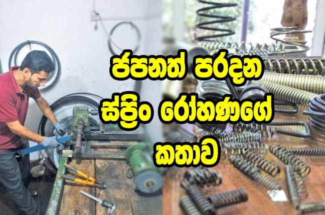 ජපනත් පරදන ස්ප්රිං රෝහණගේ කතාව