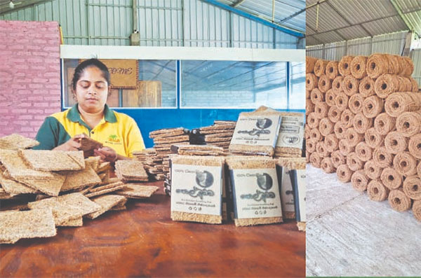 පොල් මුඩ්ඩෙන් ලොවක් ජයගත් නදීෂා